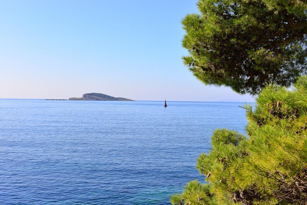 A&M Cavtat Family Apartment - 3 Bedrooms And Free Parking Εξωτερικό φωτογραφία