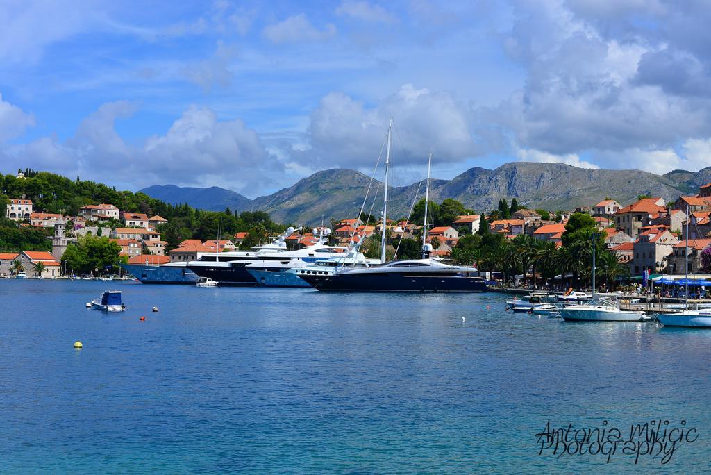 A&M Cavtat Family Apartment - 3 Bedrooms And Free Parking Εξωτερικό φωτογραφία